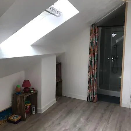 Centre- Gare - Chateau - Duplex 2 Apartment Angers