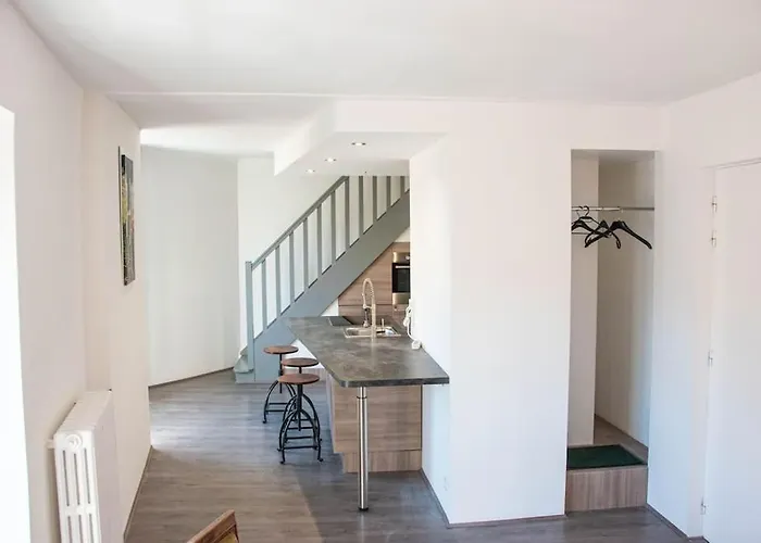 Centre- Gare - Chateau - Duplex 2 * アンジェ