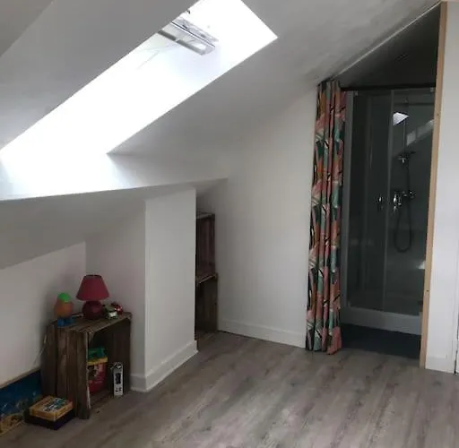 Centre- Gare - Chateau - Duplex 2 Appartement Angers